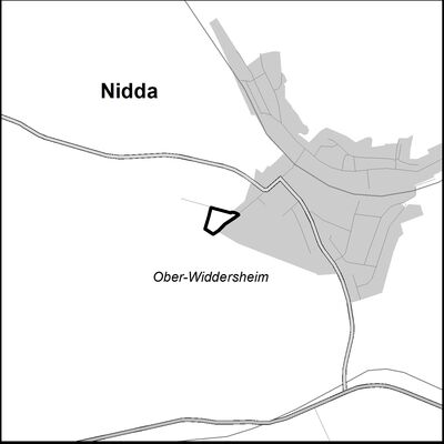 NIDDA2