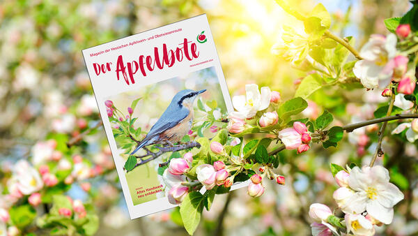 Magazin Apfelbote: Die Ausgabe Frühling/Sommer 2024 ist da